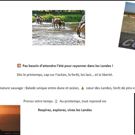 Mobil Cosy A Contis Proche Et Nature Apartman Saint-Julien-en-Born